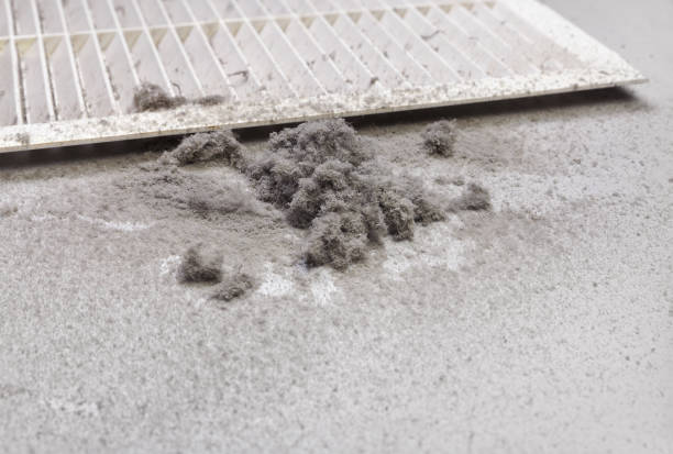 Best General Air Duct Cleaning  in Wentworth, NC